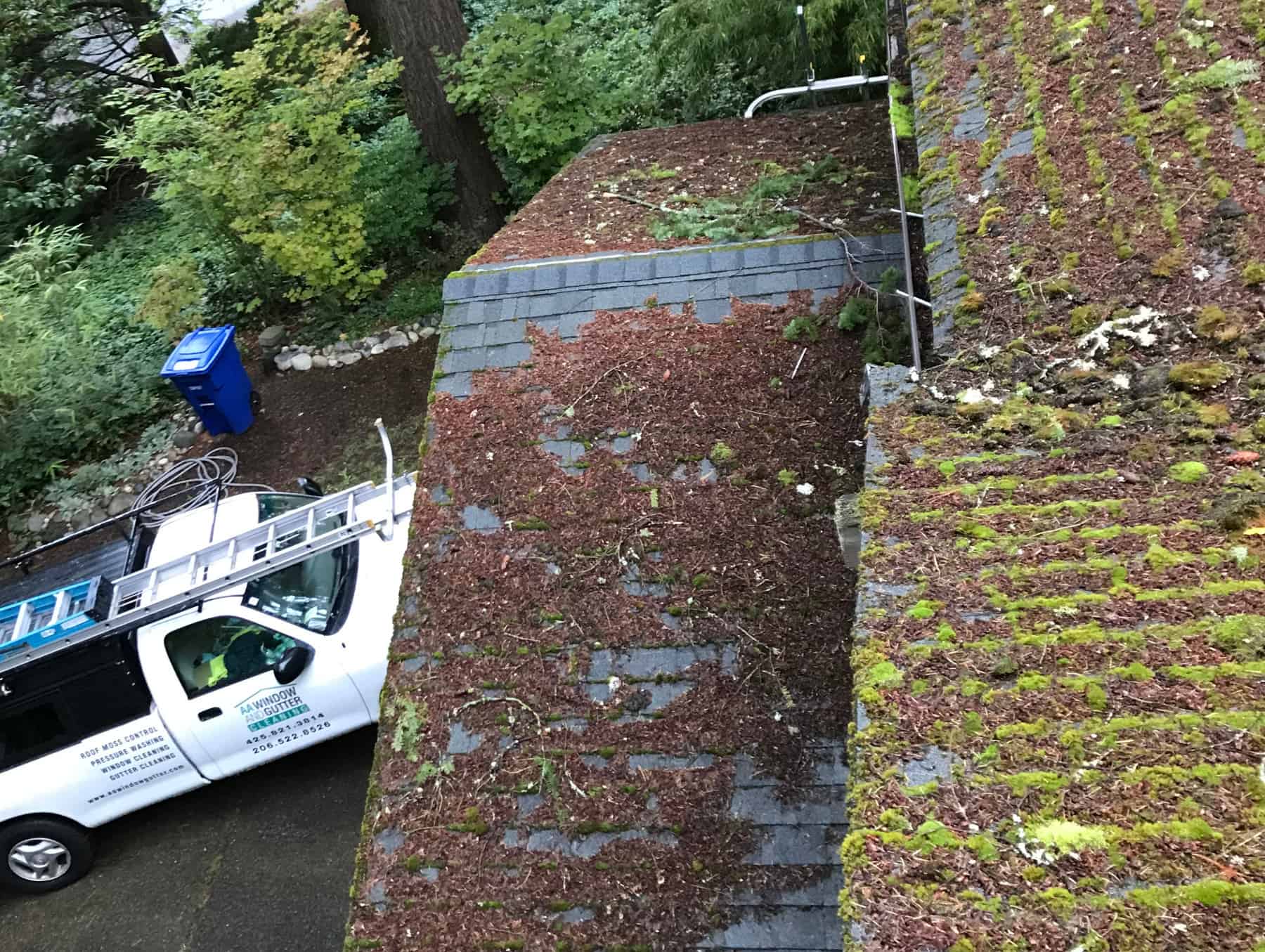 Woodinville Roof Cleaning and Moss Removal Before and After