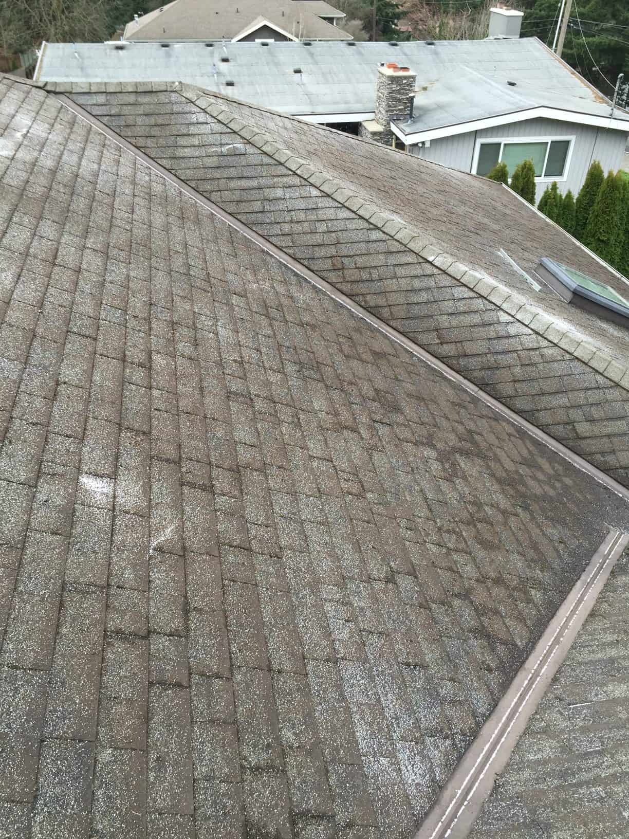 Camas Roof Cleaning and Moss Removal Before and After