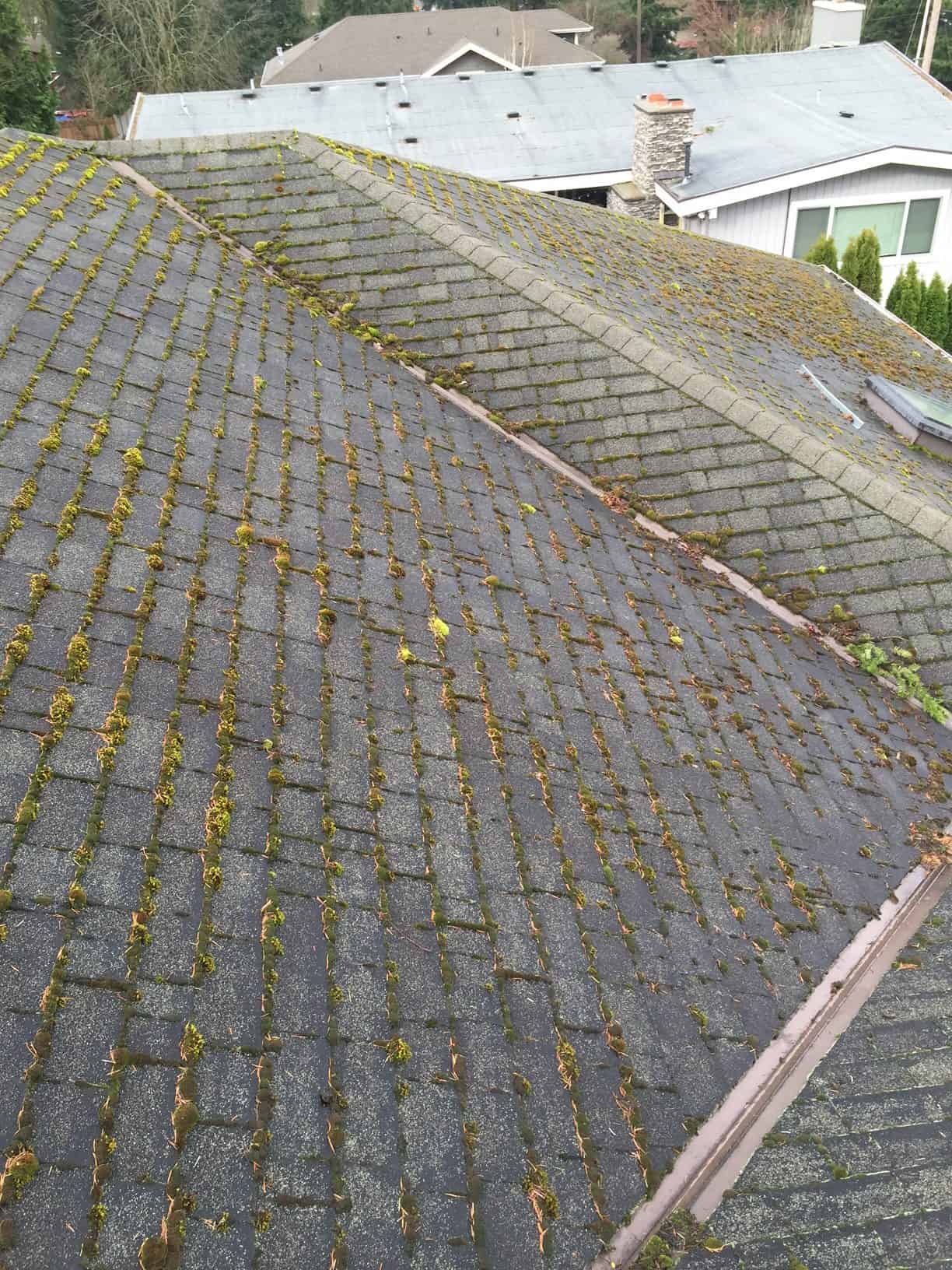 Camas Roof Cleaning and Moss Removal Before and After