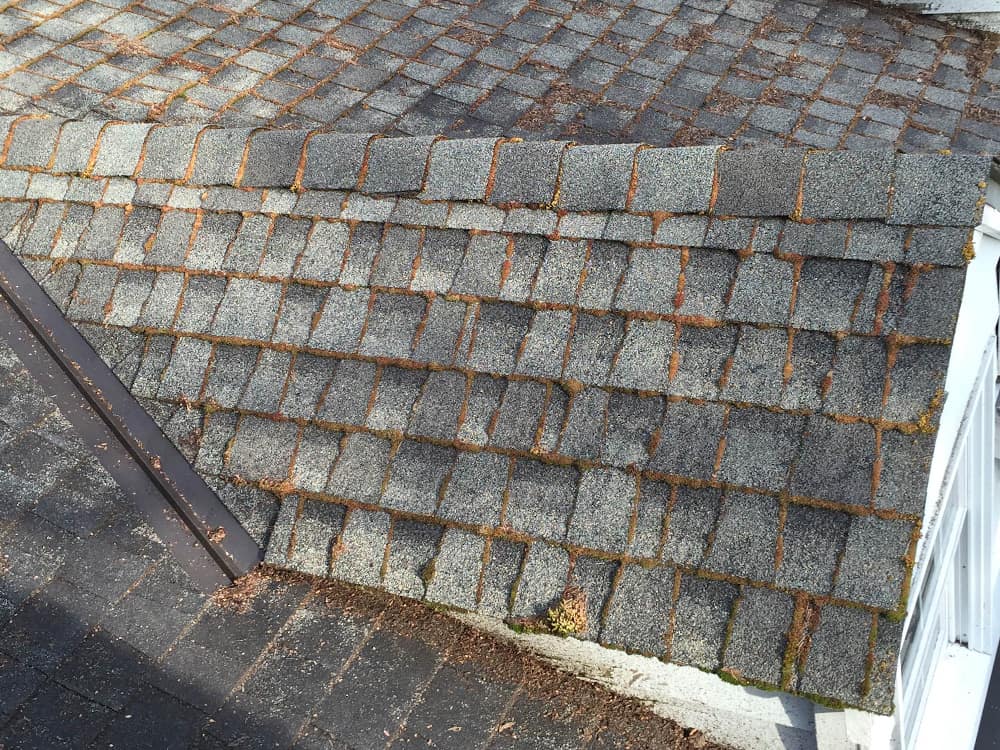 Cascade Park Roof Cleaning and Moss Removal Before and After