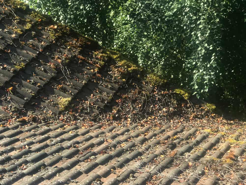 Damascus Roof Cleaning and Moss Removal Before and After