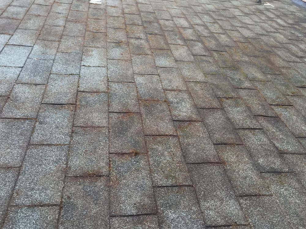 Enumclaw Roof Cleaning and Moss Removal Before and After