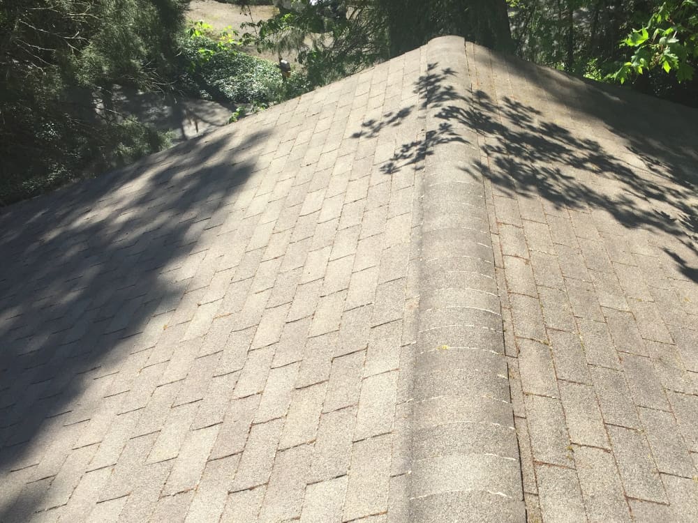 Hillsboro Roof Cleaning and Moss Removal Before and After