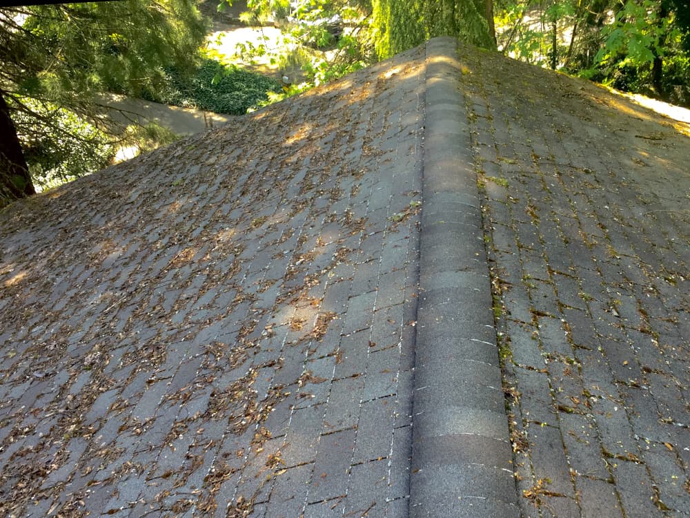 Hillsboro Roof Cleaning and Moss Removal Before and After