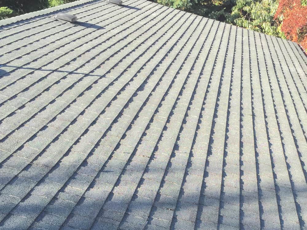 Federal Way Roof Cleaning and Moss Removal Before and After