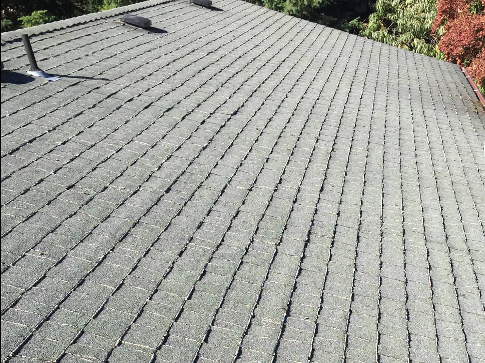 Federal Way Roof Cleaning and Moss Removal Before and After