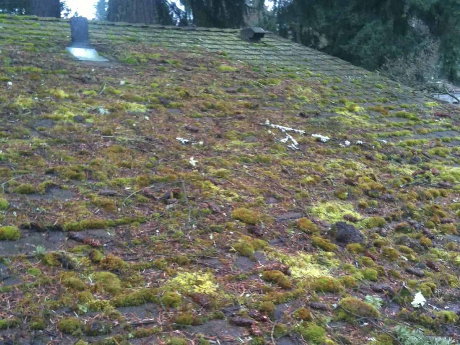 Kirkland Roof Cleaning and Moss Removal Before and After