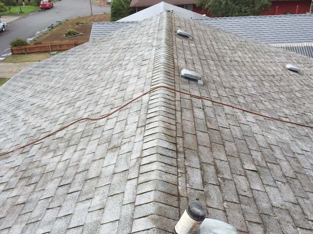 Lake Stevens Roof Cleaning and Moss Removal Before and After