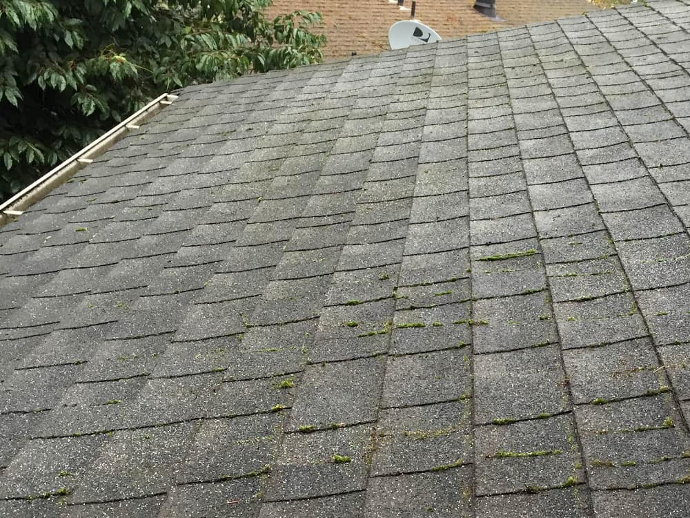Lakewood Roof Cleaning and Moss Removal Before and After