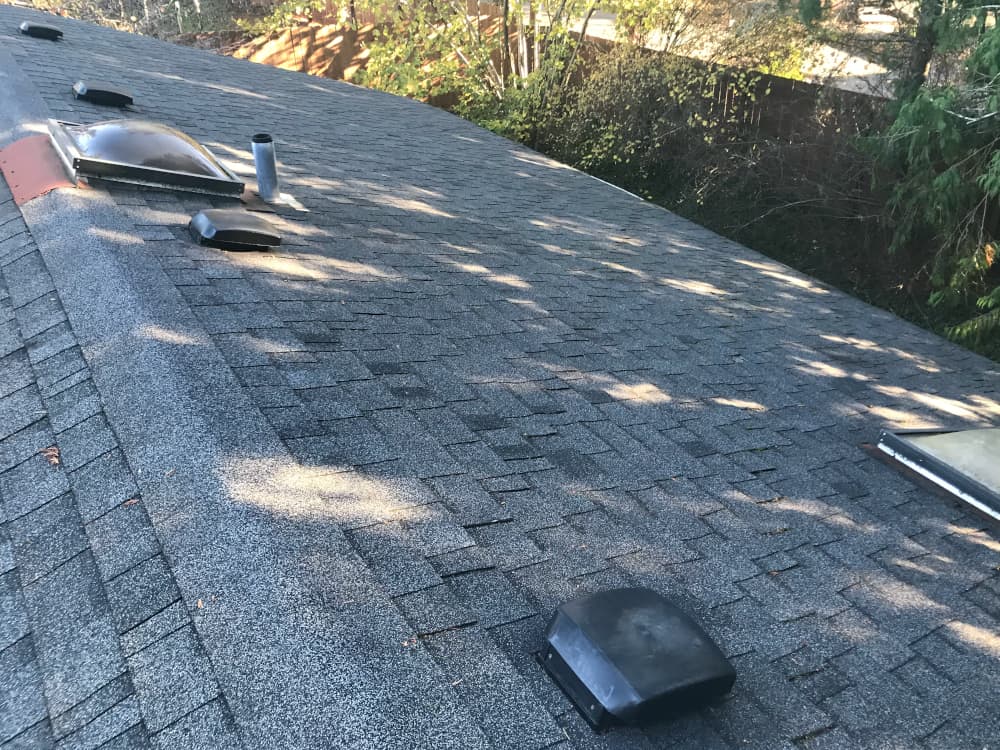 West Seattle Roof Cleaning and Moss Removal Before and After