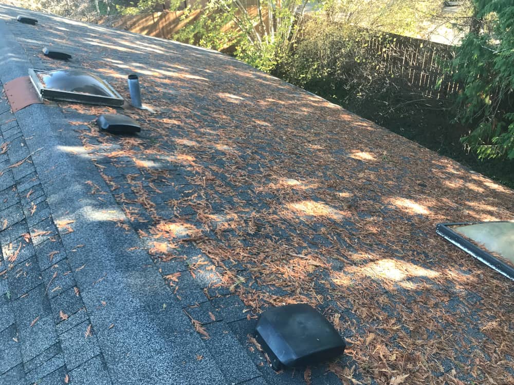 West Seattle Roof Cleaning and Moss Removal Before and After
