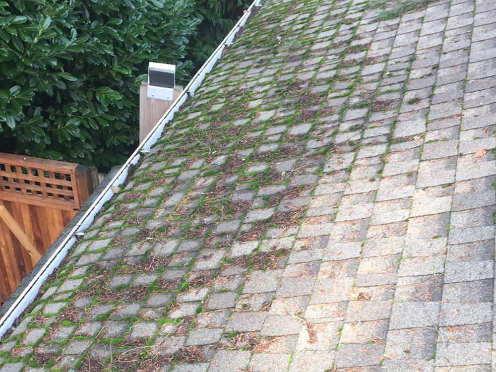 Troutdale Roof Cleaning and Moss Removal Before and After