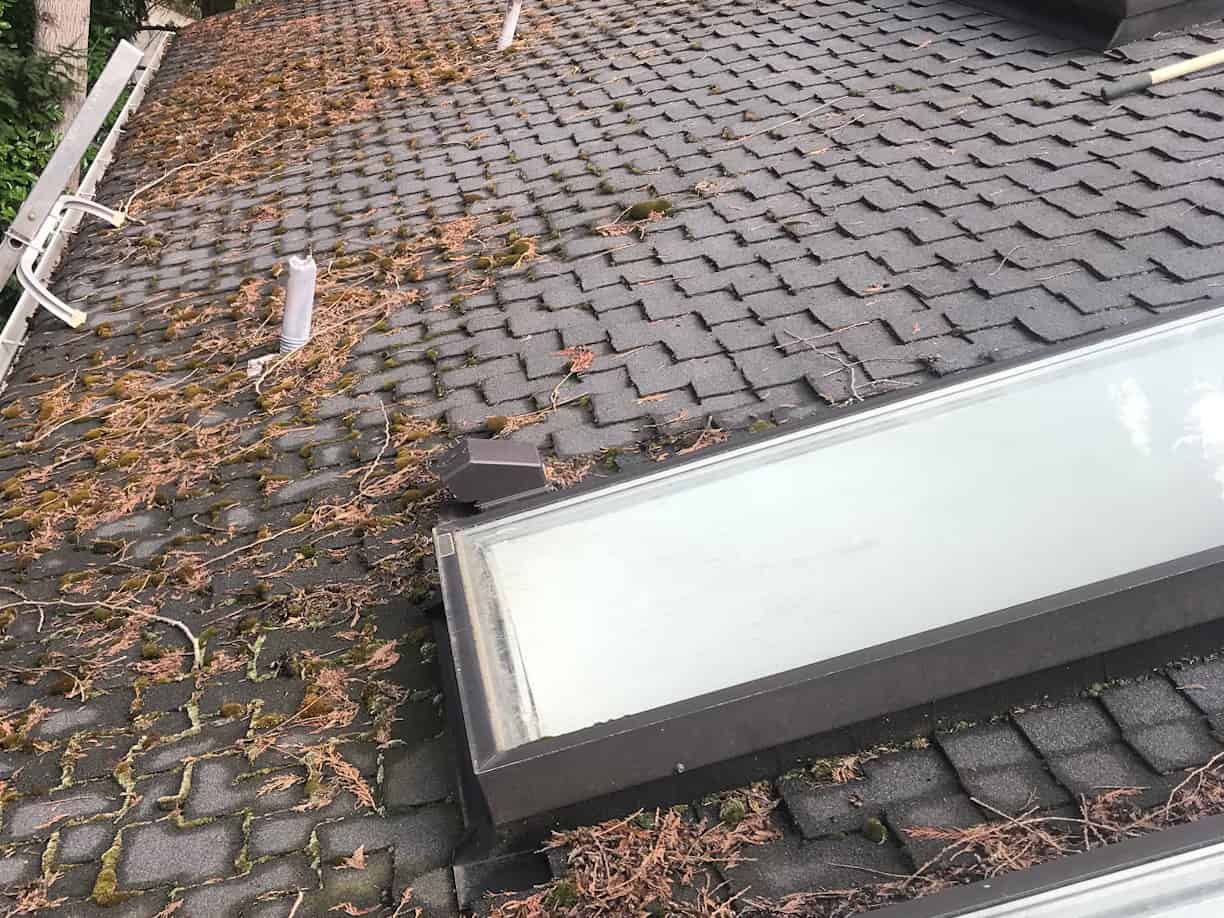 Vancouver Roof Cleaning and Moss Removal Before and After